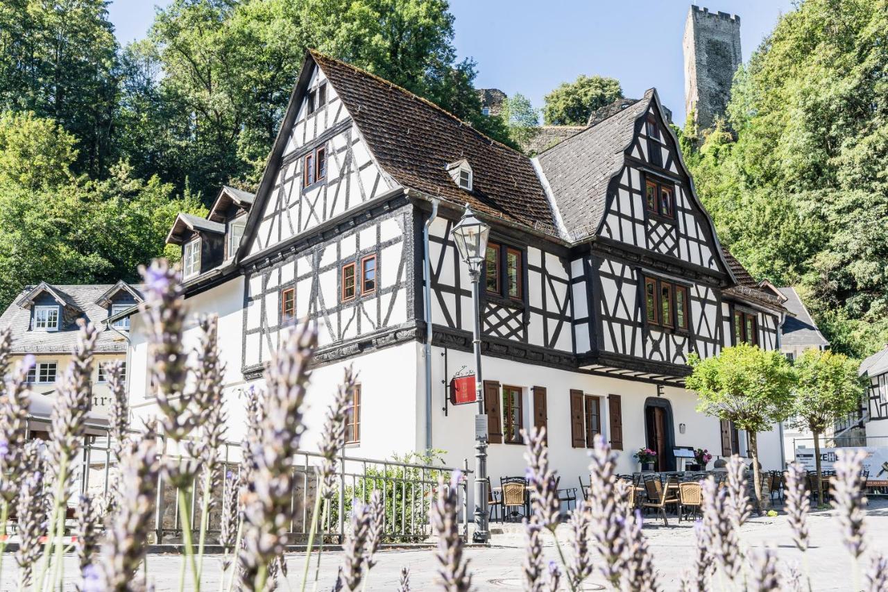 Landgasthof zur Burg Grenzau Höhr-Grenzhausen Exterior foto